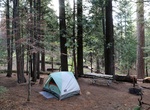 Camp at Hodgdon Meadow, Yosemite National Park
