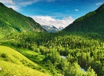 Explore Altai Mountains, Russia (UNESCO site)
