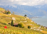 Wine Tasting in Lavaux, Switzerland (UNESCO site)