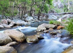 Explore Mount Barney National Park, Queensland, Australia (UNESCO site)