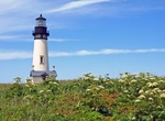 See Yaquina Head Light, Oregon
