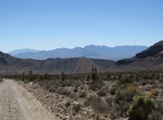 Explore Desert National Wildlife Refuge, Nevada