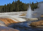 See Cliff Geyser, Yellowstone National Park, Wyoming