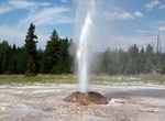 See Pink Cone Geyser, Yellowstone National Park, Wyoming