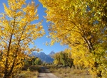 Visit Lazy F Dude Ranch, Grand Teton National Park