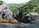 See Snares Islands (Tini Heke), New Zealand (UNESCO site)