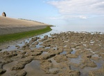 Explore The Wadden Sea, Netherlands & Germany (UNESCO site)