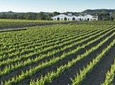 Nadal de la Boadella Estate Essence of Nadal Tour