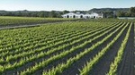 Nadal de la Boadella Estate Essence of Nadal Tour