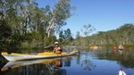 Self-Guided Noosa Everglades Kayak Tour