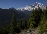 Hike Rampart Ridge Trail, Mount Rainier National Park, Washington