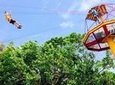 Rainforest Zipline in the El Yunque Foothills from San Juan