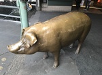 See Rachel the Piggy Bank, Pike Place Market, Seattle, Washington