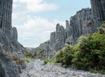 Explore Putangirua Pinnacles, North Island, New Zealand