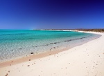 Explore Ningaloo Coast, Western Australia (UNESCO Site)
