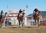 Attend International Camel & Ostrich Races,  Virginia City, Nevada