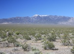 Summit Mount Charleston (Charleston Peak), Nevada