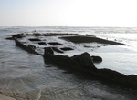 See SS Monte Carlo Shipwreck, Coronado, California