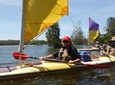 Full-Day Guided Noosa Everglades Kayak Tour