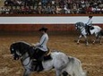 Full-day Jerez and Cadiz from Seville, with Horse Ballet and Sherry Tasting