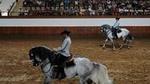 Full-day Jerez and Cadiz from Seville, with Horse Ballet and Sherry Tasting