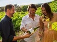 Niagara-on-the-Lake Wine Tour with Lunch