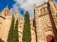 Private Tour to Avila and Salamanca from Madrid