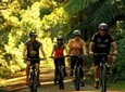 Remutaka Rail Trail Cycle Tour from Wellington