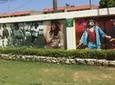 Private Bob Marley Nine Mile and Dunns River Combo from Ocho Rios