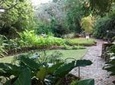 Garden Delight Full-Day Tour in Barbados