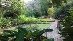 Garden Delight Full-Day Tour in Barbados