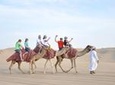 Dubai Desert Adventure Half-Day Tour