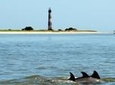Morris Island Lighthouse Eco-Cruise