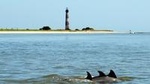 Morris Island Lighthouse Eco-Cruise