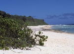 Visit Henderson Island (UNESCO site)