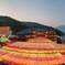 3-Day Round-Trip Tour from Busan to Gyeongju