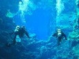 Silfra Diving Between Continents Tour From Thingvellir National Park