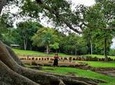 Full-Day Tour of the Taíno Route in Puerto Rico