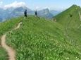 Peak to Peak Private Hike with Transport from Lucerne