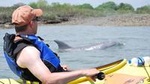 Small-Group Tour: 2-Hour Marsh Kayaking Eco-Tour in Charleston