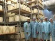 Small-Group Food and Wine Tour from Cagliari