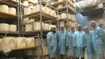 Small-Group Food and Wine Tour from Cagliari