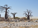 Explore Makgadikgadi Pan, Botswana
