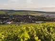 Full-Day North Burgundy and Chablis Wine Tasting Tour from Paris