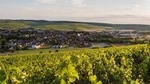 Full-Day North Burgundy and Chablis Wine Tasting Tour from Paris