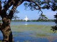 Anuradhapura Private Day Trip from Colombo, Negombo, or Katunayaka