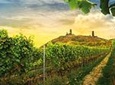 Prague Wine Tasting and Countryside Small-Group Tour with Lunch