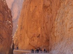Explore or Rock Climb Todgha Gorge (Todra), Morocco
