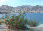 Visit Princess Cove, Arizona