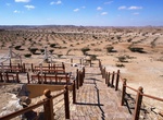 Visit Frankencense Park of Wadi Dawkah, Oman (UNESCO site)
